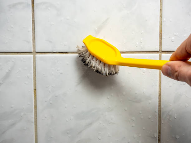 Trusted Newburgh, IN Mold Removal Experts
