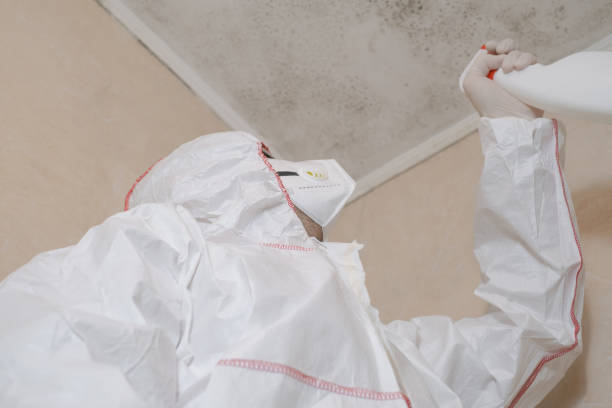 Best Office Mold Removal Services  in Newburgh, IN