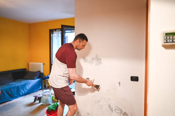 Best Attic Mold Removal  in Newburgh, IN